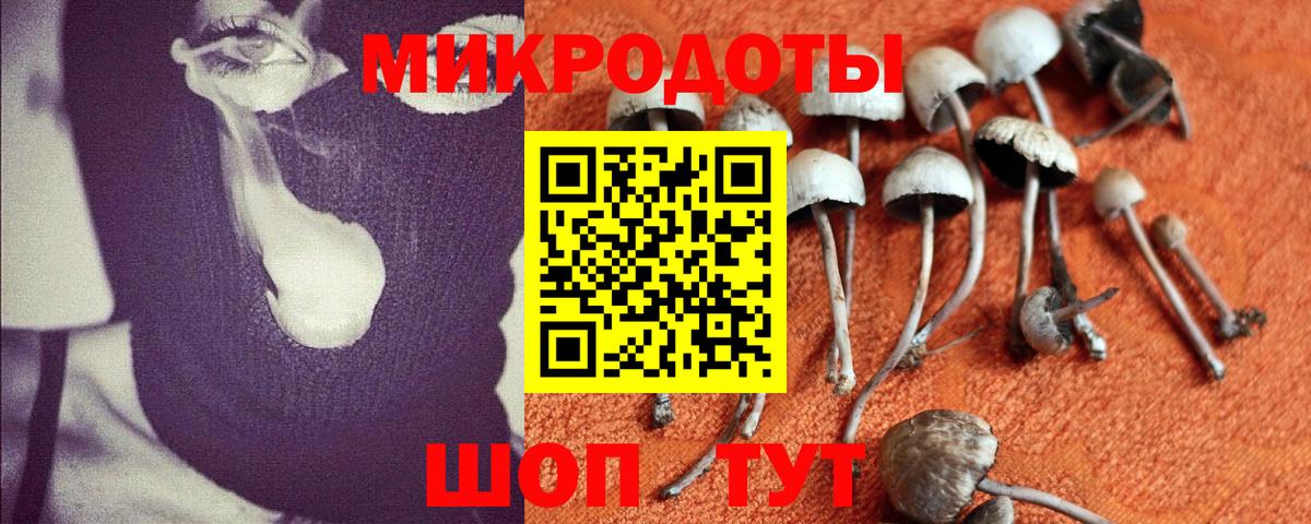 Галлюциногенные грибы Cubensis  где купить наркоту  Псилоцибиновые грибы Psilocybine cubensis  Калуга  Вход с VPN 