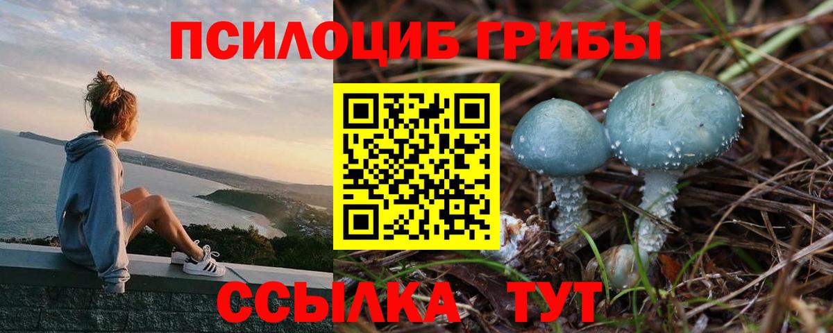 Галлюциногенные грибы ЛСД Калуга